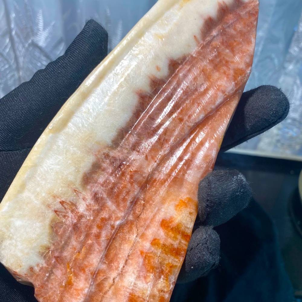 Beautiful Pork Stone/Jasper